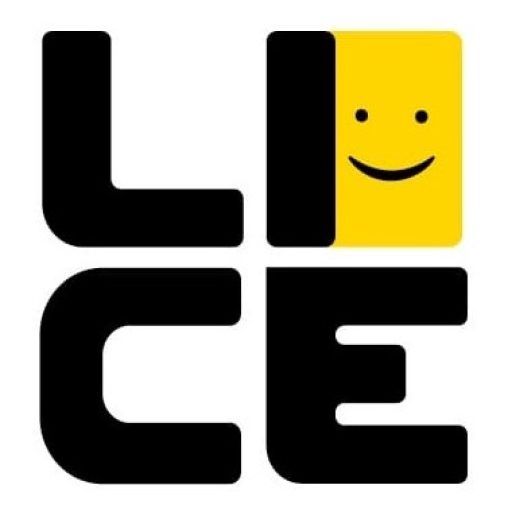 LiCe - Likovna radionica